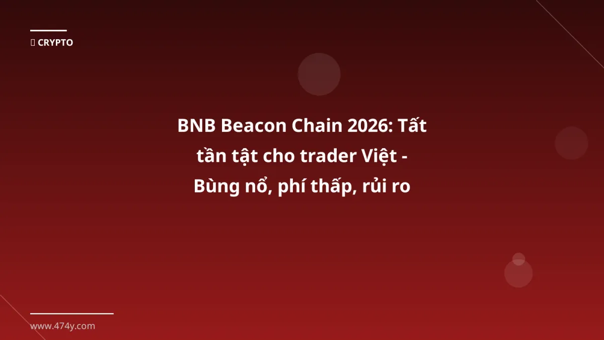 BNB Beacon Chain 2026: Tất tần tật cho trader Việt - Bùng nổ, phí thấp, rủi ro gì?