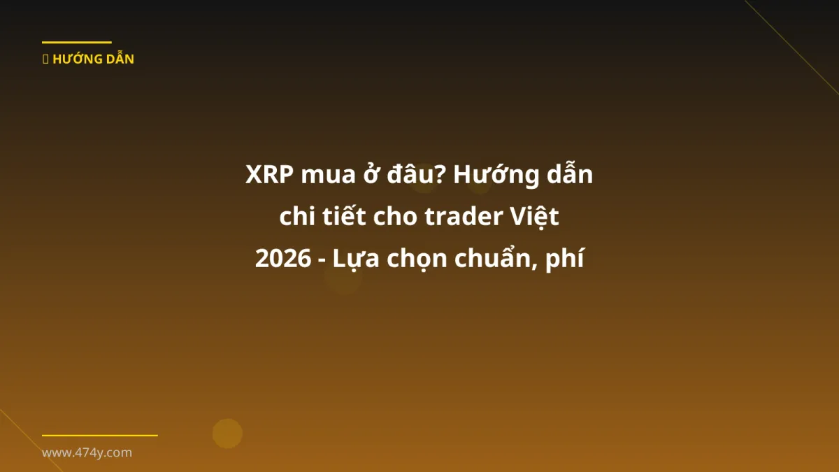 XRP mua ở đâu? Hướng dẫn chi tiết cho trader Việt 2026 - Lựa chọn chuẩn, phí thấp, rút VND nhanh