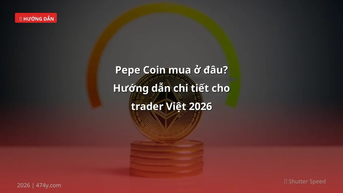 Pepe Coin mua ở đâu? Hướng dẫn chi tiết cho trader Việt 2026