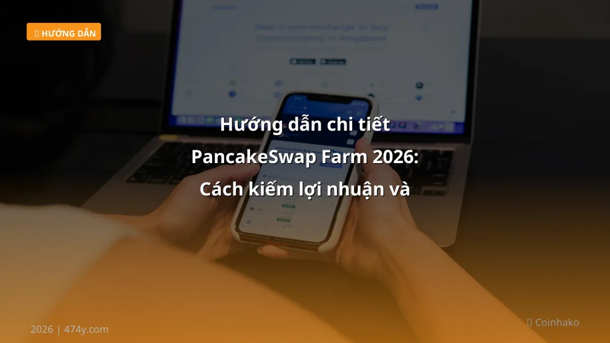 Hướng dẫn chi tiết PancakeSwap Farm 2026: Cách kiếm lợi nhuận và tránh rủi ro