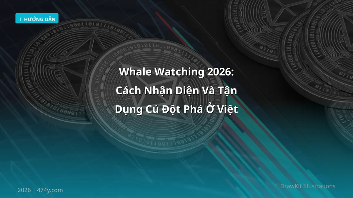 Whale Watching 2026: Cách Nhận Diện Và Tận Dụng Cú Đột Phá Ở Việt Nam