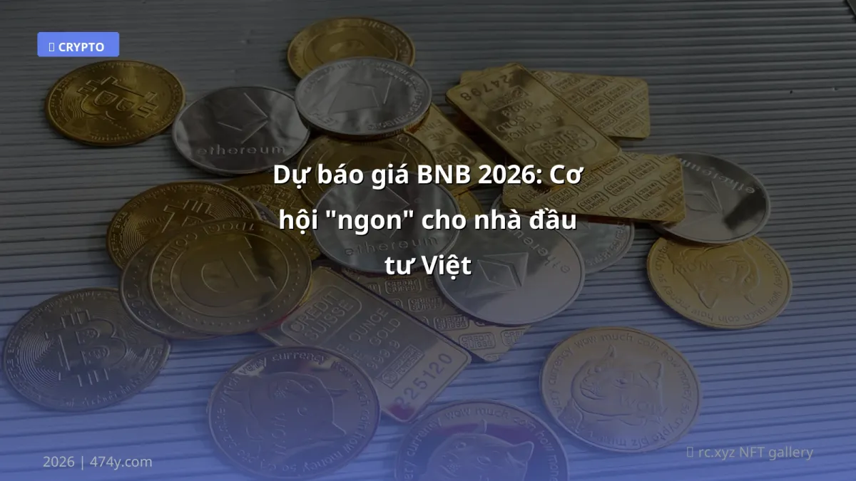 Dự báo giá BNB 2026: Cơ hội "ngon" cho nhà đầu tư Việt