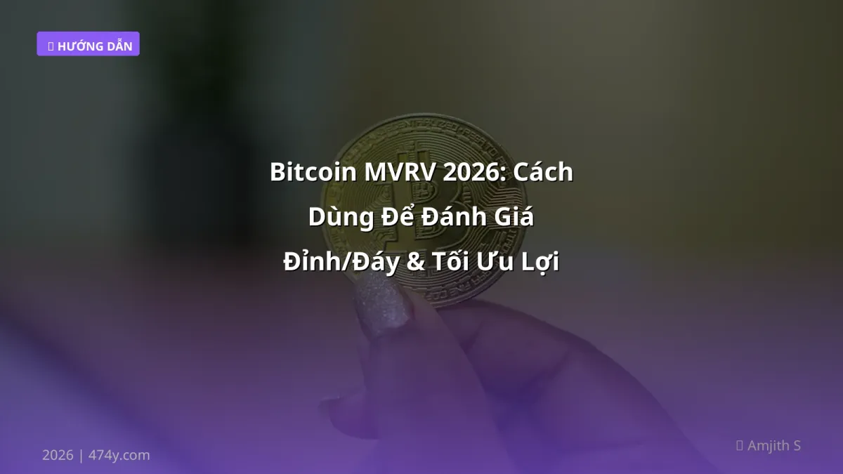 Bitcoin MVRV 2026: Cách Dùng Để Đánh Giá Đỉnh/Đáy & Tối Ưu Lợi Nhuận