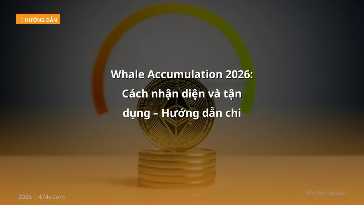 Whale Accumulation 2026: Cách nhận diện và tận dụng – Hướng dẫn chi tiết cho trader Việt