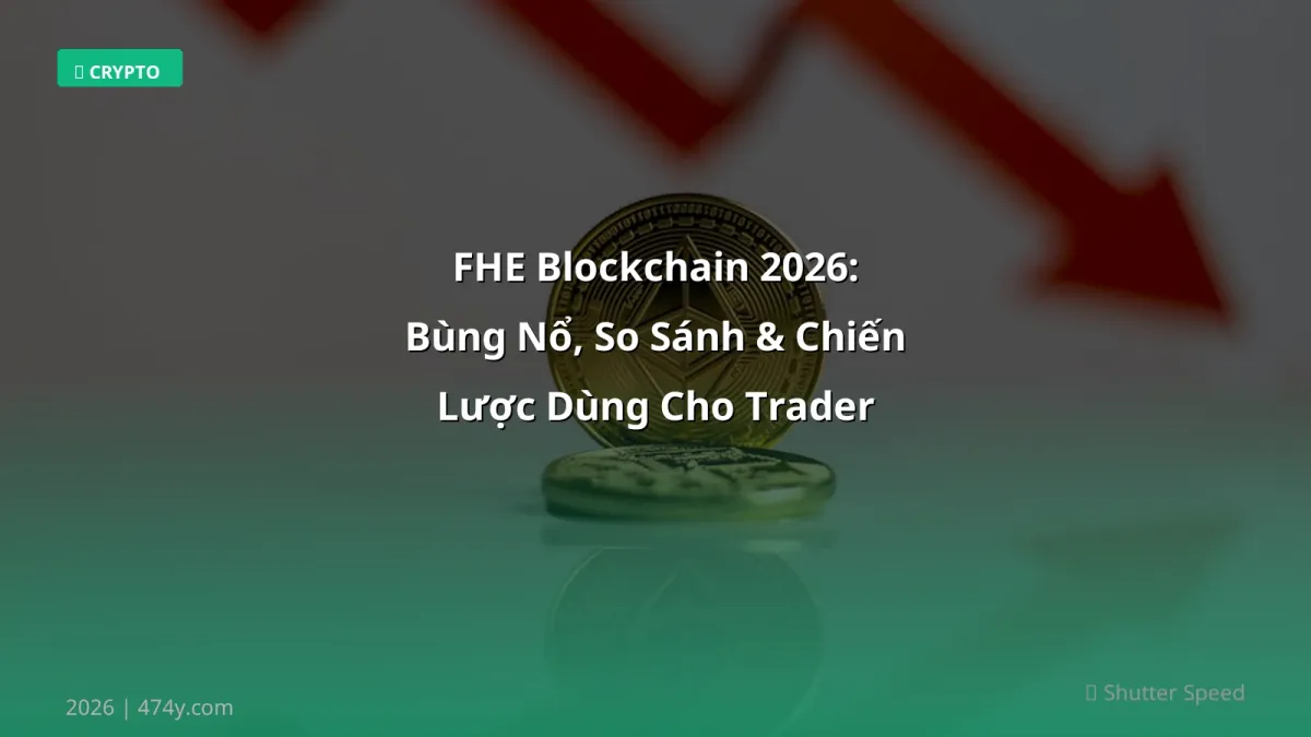 FHE Blockchain 2026: Bùng Nổ, So Sánh & Chiến Lược Dùng Cho Trader Việt
