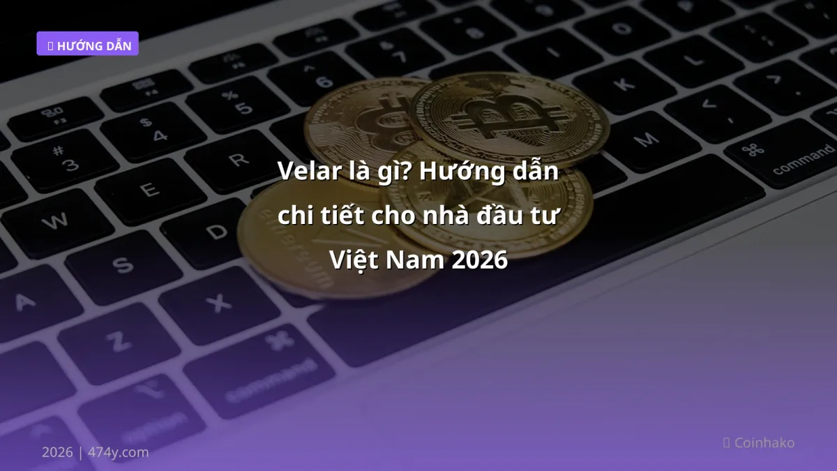 Velar là gì? Hướng dẫn chi tiết cho nhà đầu tư Việt Nam 2026