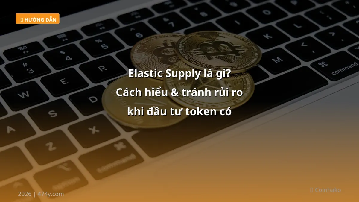 Elastic Supply là gì? Cách hiểu & tránh rủi ro khi đầu tư token có elastic supply