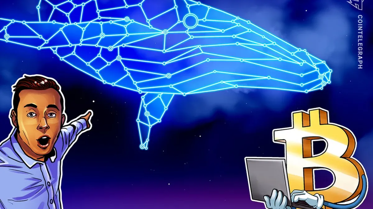 Bitcoin Whale Balances Bứt Phá 21% Sau Bán Rầm Rộ Nhất 2023 – Kèo Moon