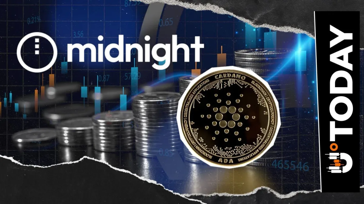 Cardano Midnight (NIGHT) Đấu Tranh 0,058 USD – Đảo Chiều Sắp Đến?