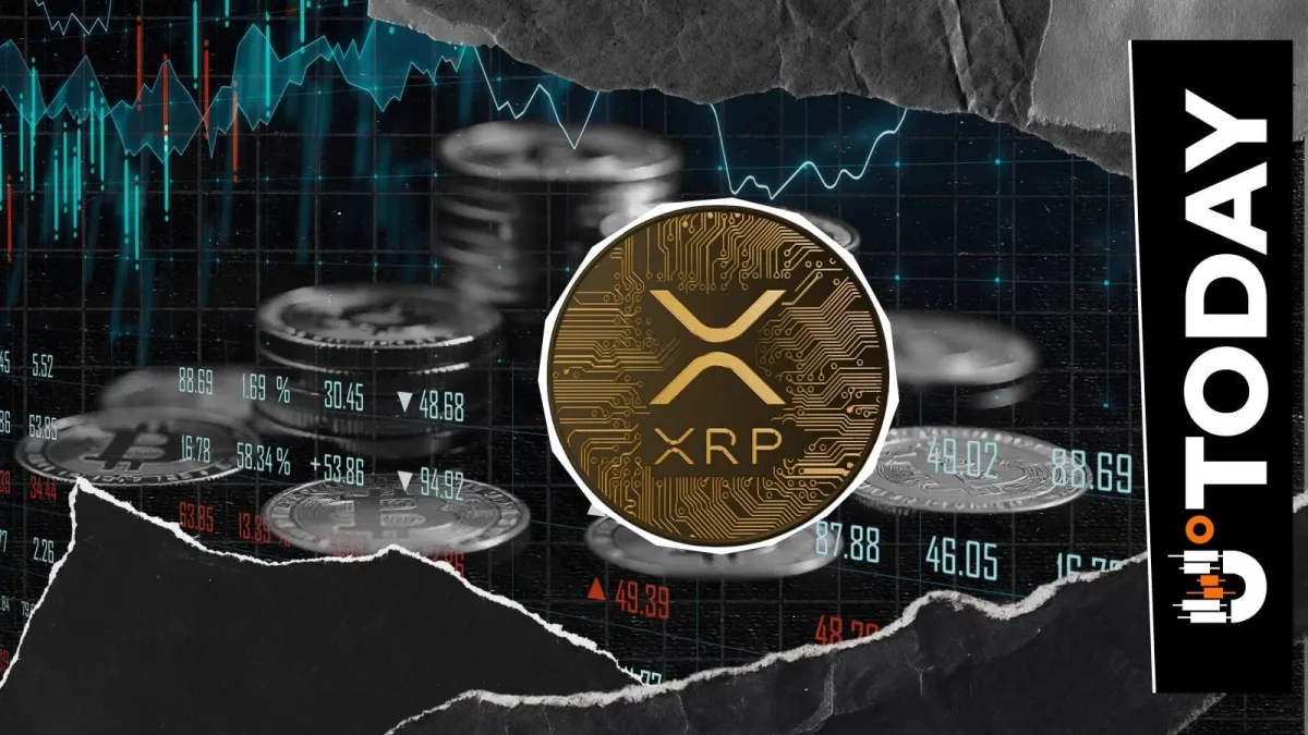 XRP Trượt ‘Extreme Fear’ Sau 19% Sụt Giá – Ae Cần Xem Nhận Định