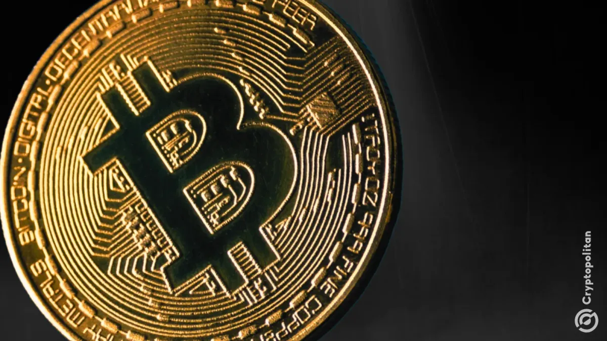 Bitcoin giữ trên 94k USD: Đà tăng sau căng thẳng Venezuela‑Mỹ