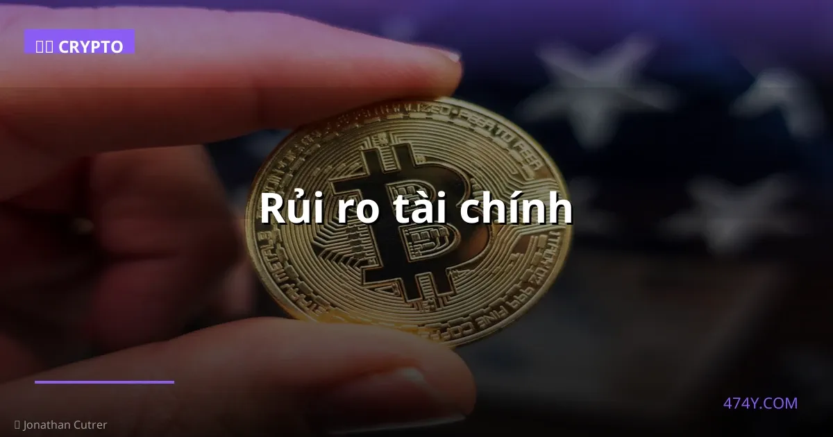 Rủi ro tài chính