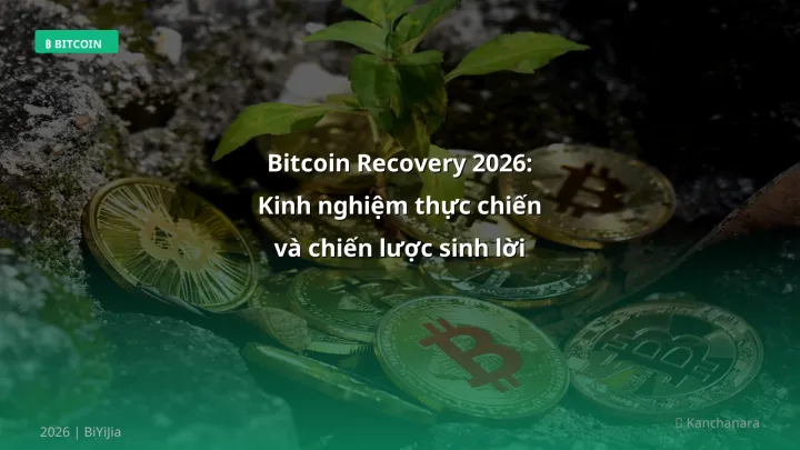 Bitcoin recovery - Phân tích và hướng dẫn từ chuyên gia crypto Việt Nam
