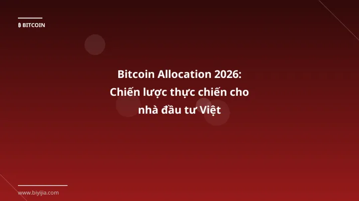 Bitcoin allocation - Phân tích và hướng dẫn từ chuyên gia crypto Việt Nam