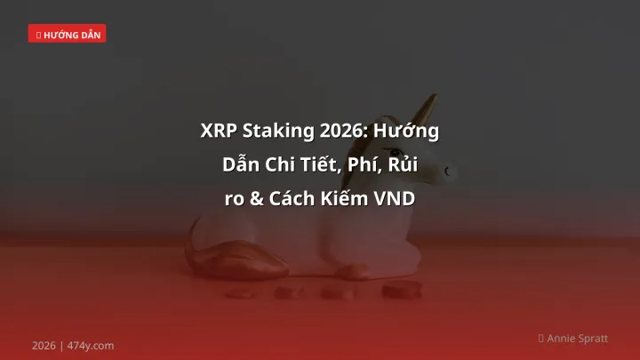 Infographic xrp staking 2026: hướng dẫn chi tiết, phí, rủi ro & cách kiếm vnd - Thông tin quan trọng cho trader Việt