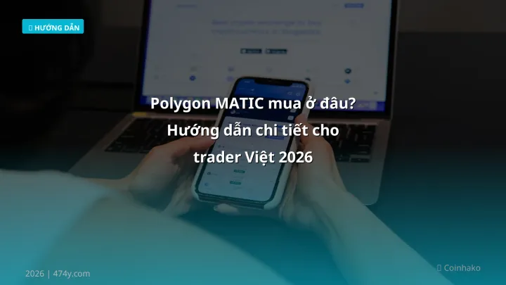 Infographic polygon matic mua ở đâu? hướng dẫn chi tiết cho trader việt 2026 - Thông tin quan trọng cho trader Việt