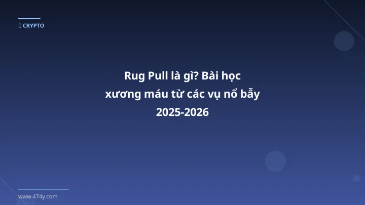 Rug pull là gì - Phân tích và hướng dẫn từ chuyên gia crypto Việt Nam