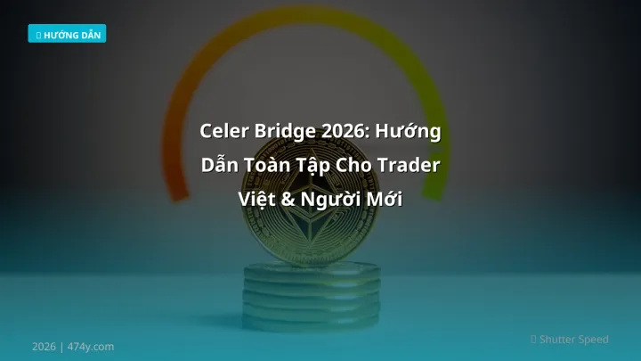 Hình ảnh minh họa: Celer bridge - Cập nhật mới nhất 2026