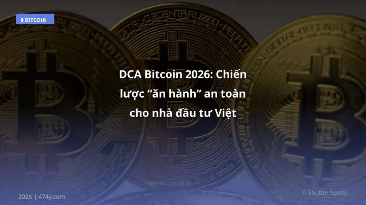 Infographic dca bitcoin 2026: chiến lược “ăn hành” an toàn cho nhà đầu tư việt - Thông tin quan trọng cho trader Việt