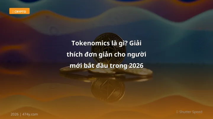 Infographic tokenomics là gì? giải thích đơn giản cho người mới bắt đầu trong 2026 - Thông tin quan trọng cho trader Việt