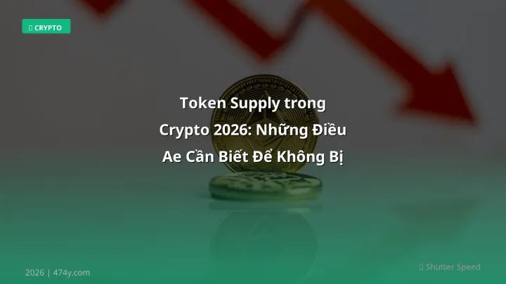 Token supply - Phân tích và hướng dẫn từ chuyên gia crypto Việt Nam