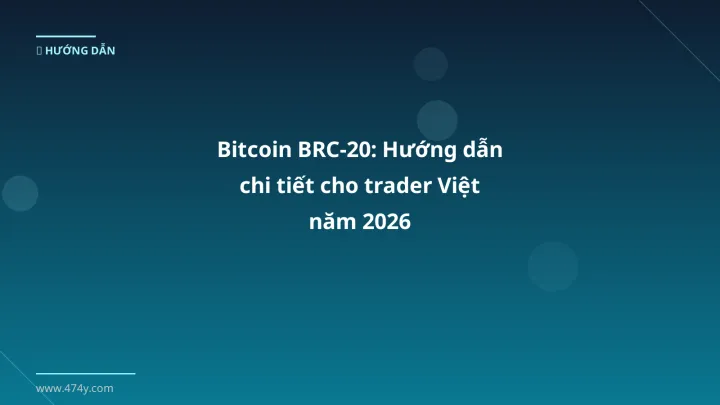 Infographic bitcoin brc-20: hướng dẫn chi tiết cho trader việt năm 2026 - Thông tin quan trọng cho trader Việt