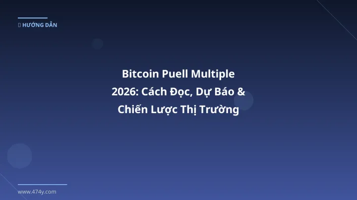 Hình ảnh minh họa: Bitcoin Puell Multiple - Cập nhật mới nhất 2026