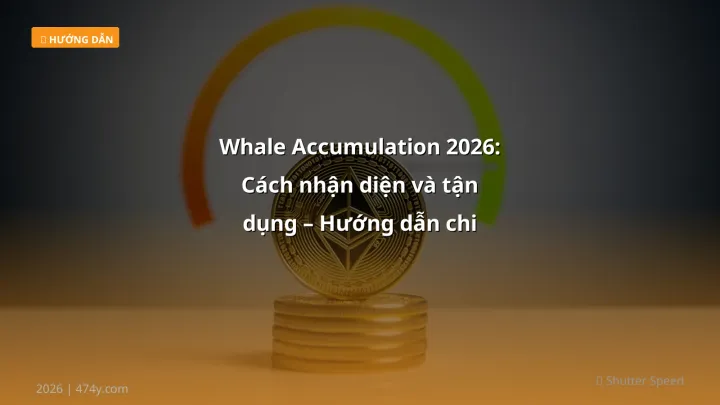 Hình ảnh minh họa: Whale accumulation - Cập nhật mới nhất 2026