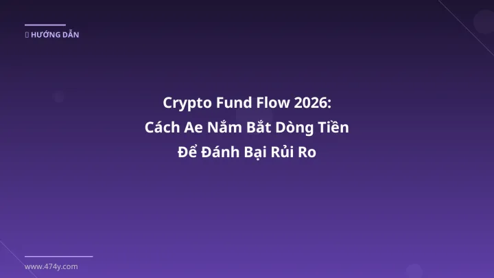 Hình ảnh minh họa: Crypto fund flow - Cập nhật mới nhất 2026