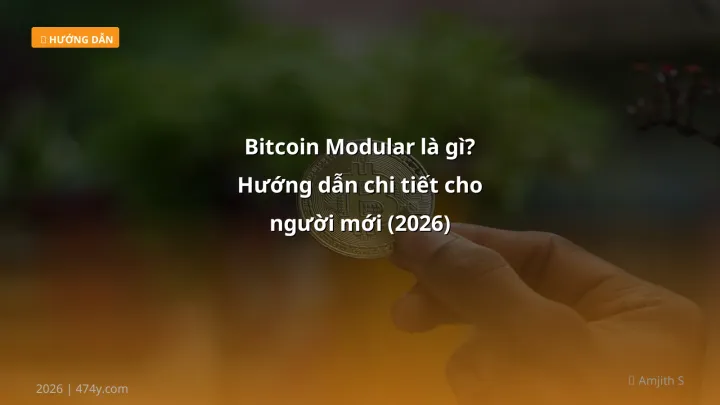 Hình ảnh minh họa: Bitcoin modular - Cập nhật mới nhất 2026
