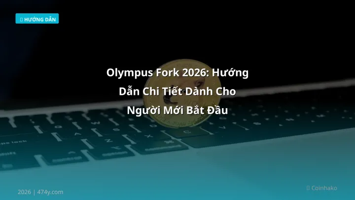 Olympus fork - Phân tích và hướng dẫn từ chuyên gia crypto Việt Nam