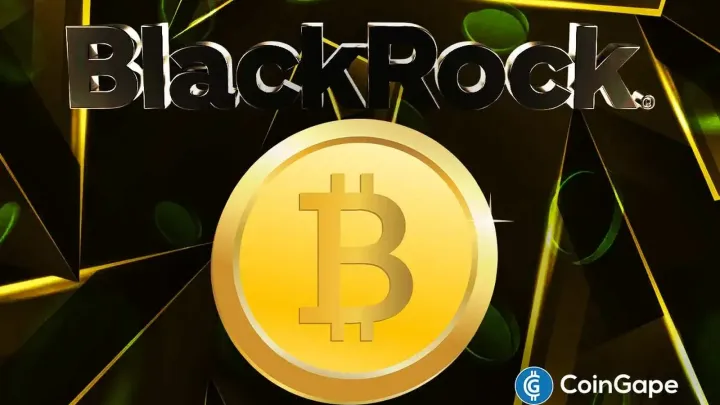BlackRock rút BTC khi Bitcoin tụt về 95k USD, có bán tháo không? - 474y.com