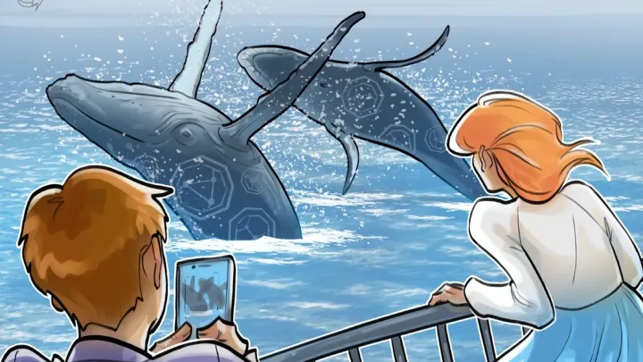 Cá mập chuyển 2,4 tỷ USD vào Binance, nhưng không có người mua – Kẻo giá sụt? | 474y.com